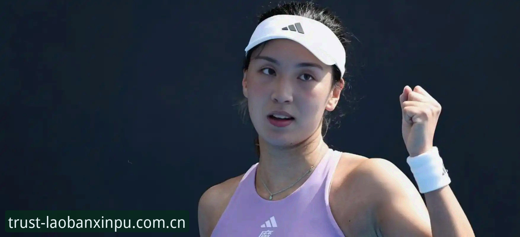 郑钦文法网保分战vs王欣瑜种子突围：2026法网女单格局与新葡萄8883官网观赛体验对比分析